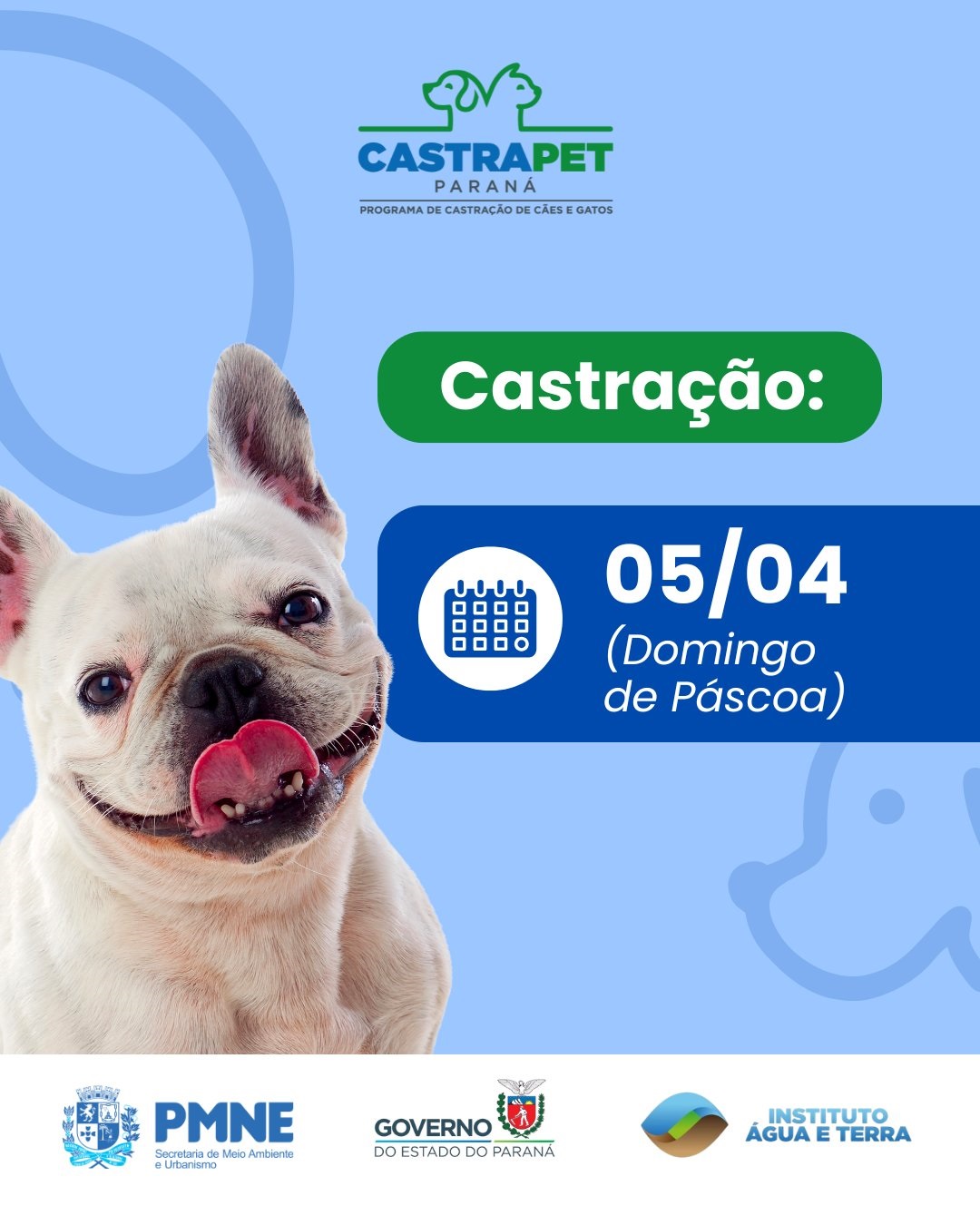 Inscrições para o CastraPet começam nesta quarta-feira em Nova Esperança